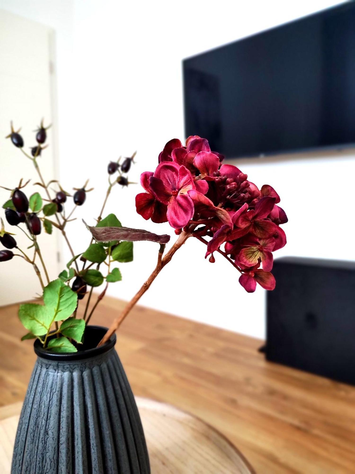 'bright 5' Wlan, 52 Qm Wohnung, Kueche, Innenstadt Schoetmar, 50 M Bis Schlosspark * Bad Salzuflen